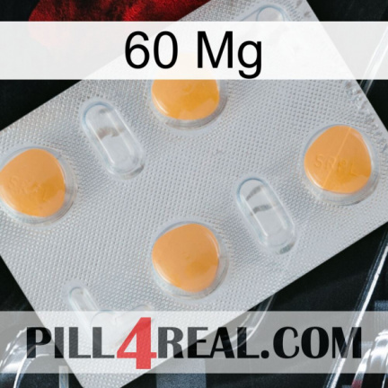 60Mg 24